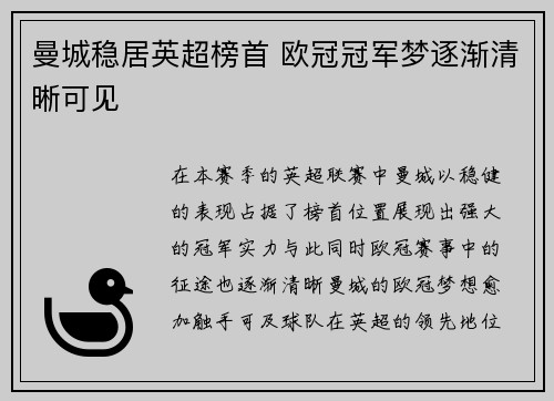 曼城稳居英超榜首 欧冠冠军梦逐渐清晰可见