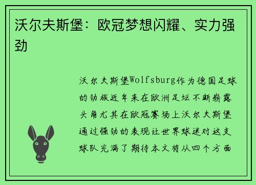 沃尔夫斯堡：欧冠梦想闪耀、实力强劲