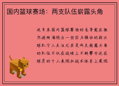 国内篮球赛场：两支队伍崭露头角
